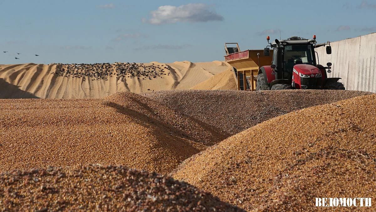 Товарооборот продукции агропромышленного комплекса России и Африки по итогам прошлого года увеличился на 18 Об этом сообщил замглавы Минсельхоза РФ Андрей Разин В денежном выражении товарооборот включая продовольствие и удобрения составил 9 5 млрд Экспорт российских агропродуктов на континент по данным ведомства достиг 6 97 млрд В этих поставках 5 8 млрд приходится на пшеницу 231 7 млн на ячмень 40 2 млн на кукурузу 702 мл на растительные масла Поставки российских удобрений в Африку выросли на 83 достигнув 2 5 млн тонн Африканские страны в 2024 году поставляли главным образом какао продукты кофе табачное сырье и цитрусовые Подпишитесь на Ведомости