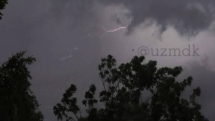 Хокимият Ташкента предупредил о сильном ветре этой ночью Из за ухудшения погоды в столице возможны обрывы проводов и падение деревьев сообщили в хокимияте Горожан просят быть осторожными не оставлять автомобили под деревьями и ЛЭП В экстренных случаях 112 Подпишитесь и следите за актуальными новостями на нашем канале   telegram me joinchat AAAAAEEdc qam7052mnXKA