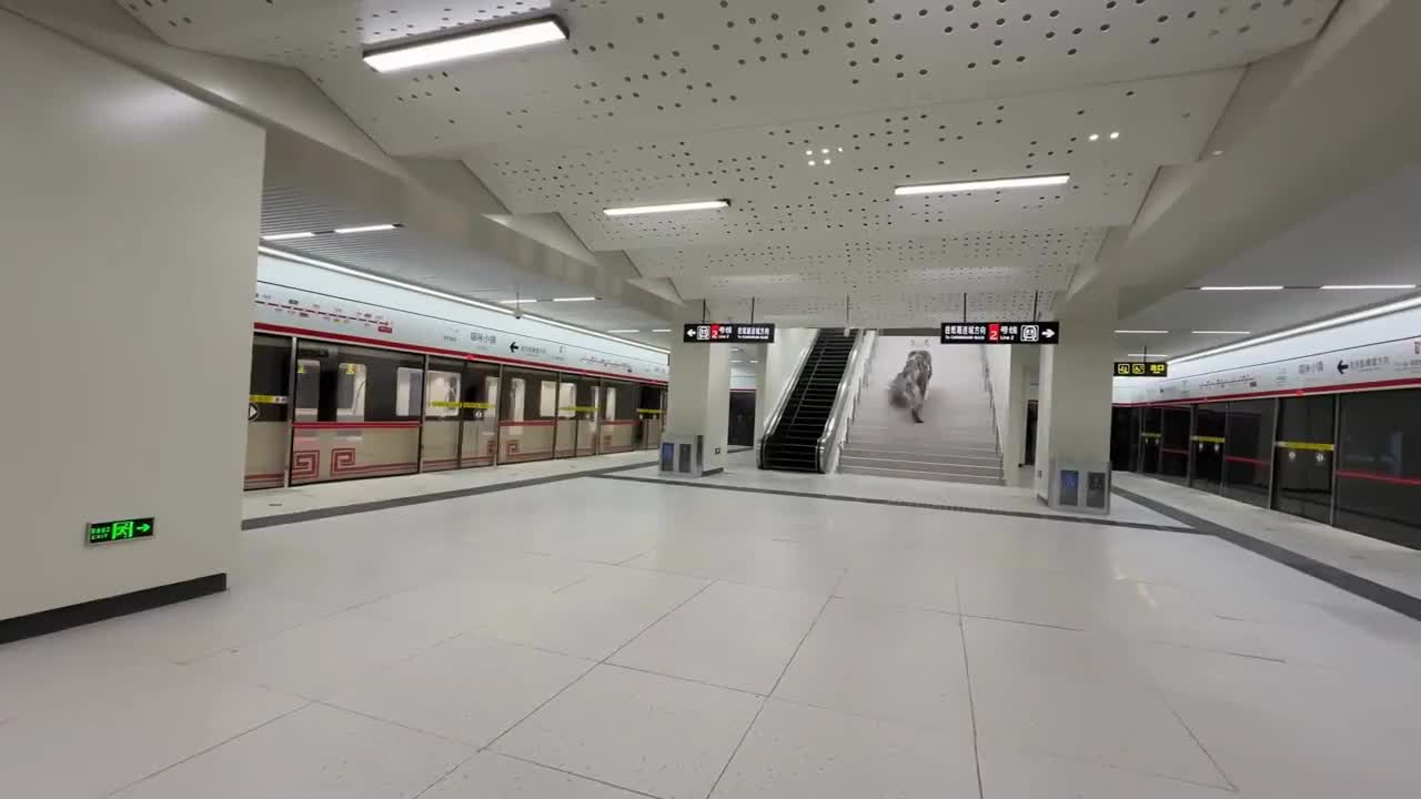 Китаец создает уникальный мир для котов с метро и рестораном