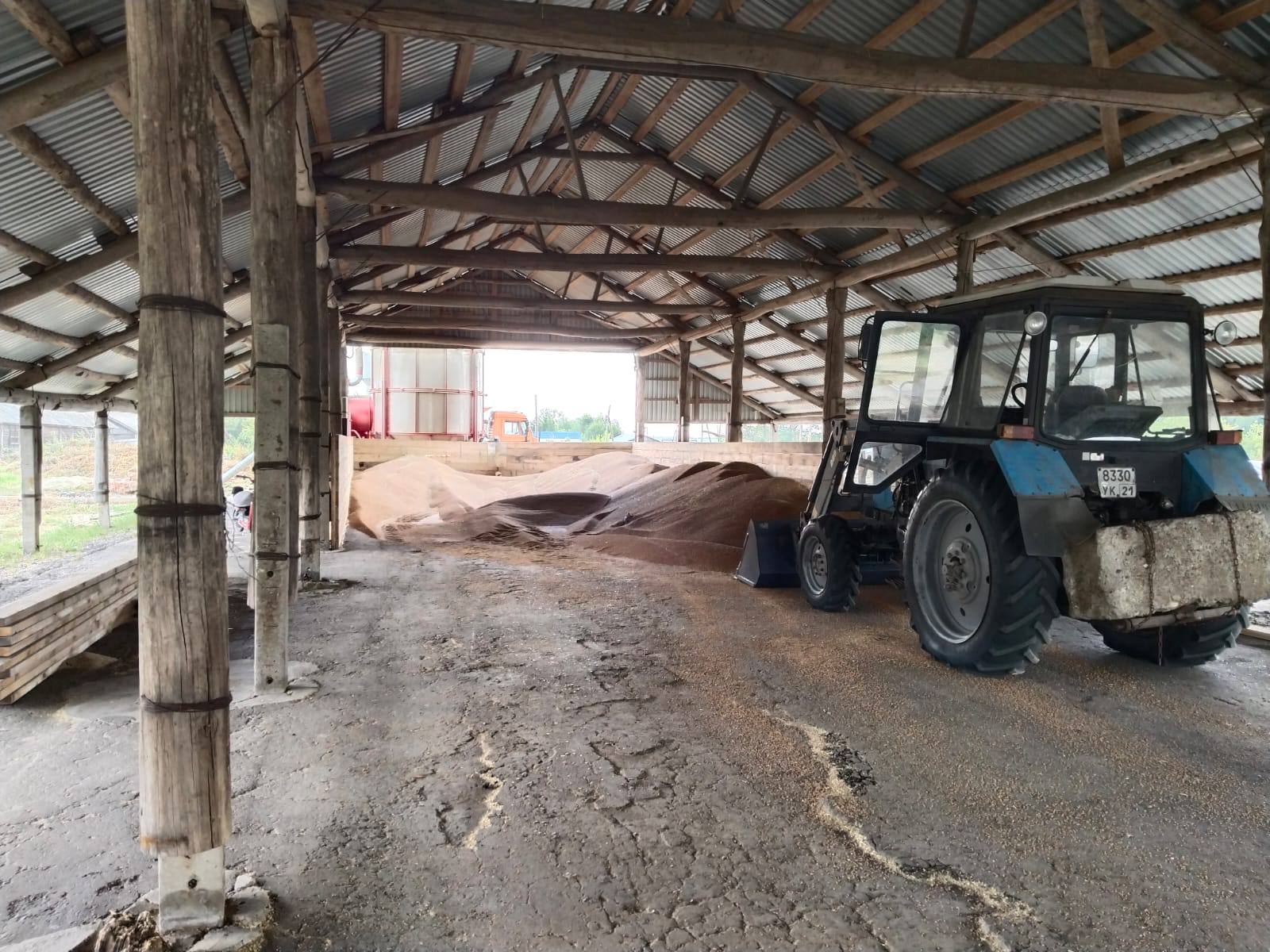 Прокуратурой Моргаушского района проведена проверка соблюдения трудового законодательства в СХПК им Чкалова после произошедшего 02 08 2025 несчастного случая Так около 12 часов 40 минут одна из работниц предприятия была завалена несколькими тоннами пшеницы вываленными из кузова автомобиля КамАЗ в результате чего она скончалась от удушья По факту произошедшего следственными органами возбуждено и расследуется уголовное дело В ходе прокурорской проверки были выявлены ряд нарушений требований трудового законодательства К примеру несколько работников были допущены к труду без прохождения обучения по охране труда и инструктажа по технике безопасности Первичные и периодические медицинские осмотры работников предприятия не проводились Не было обеспечено прохождение водителями транспортных средств предрейсовых медицинских осмотров Выявлены и иные нарушения  Прокуратурой района в адрес СХПК им Чкалова внесено представление об устранении нарушений виновное должностное лицо привлечено к дисциплинарной ответственности В отношении юридического лица возбуждены дела об административных правонарушениях предусмотренных ч 1 и ч 3 ст 5 27 1 КоАП РФ по результатам рассмотрения которых назначены штрафы на общую сумму 160 тыс рублей