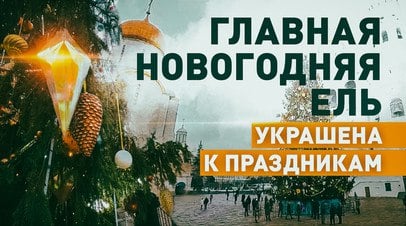 Два километра гирлянд и больше 2500 игрушек: в Кремле украсили главную новогоднюю ёлку России   Главную новогоднюю ёлку России, установленную на Соборной площади в Кремле, украсили более чем 2500 новогодних игрушек и 2 км гирлянд. Особое внимание уделили маленьким украшениям. Шары и снежинки смогли повесить даже на самые тонкие веточки дерева. В оформлении также использованы 150 светодиодных элементов, в том числе сосульки с эффектом бегущего света и мерцающие подвески. 90-летнее дерево высотой 30 м привезли в Московский Кремль из Можайского городского округа. Поиски ёлки начались ещё летом. Главными критериями отбора были внешний вид дерева, отсутствие повреждений и удобство транспортировки.  Читать далее