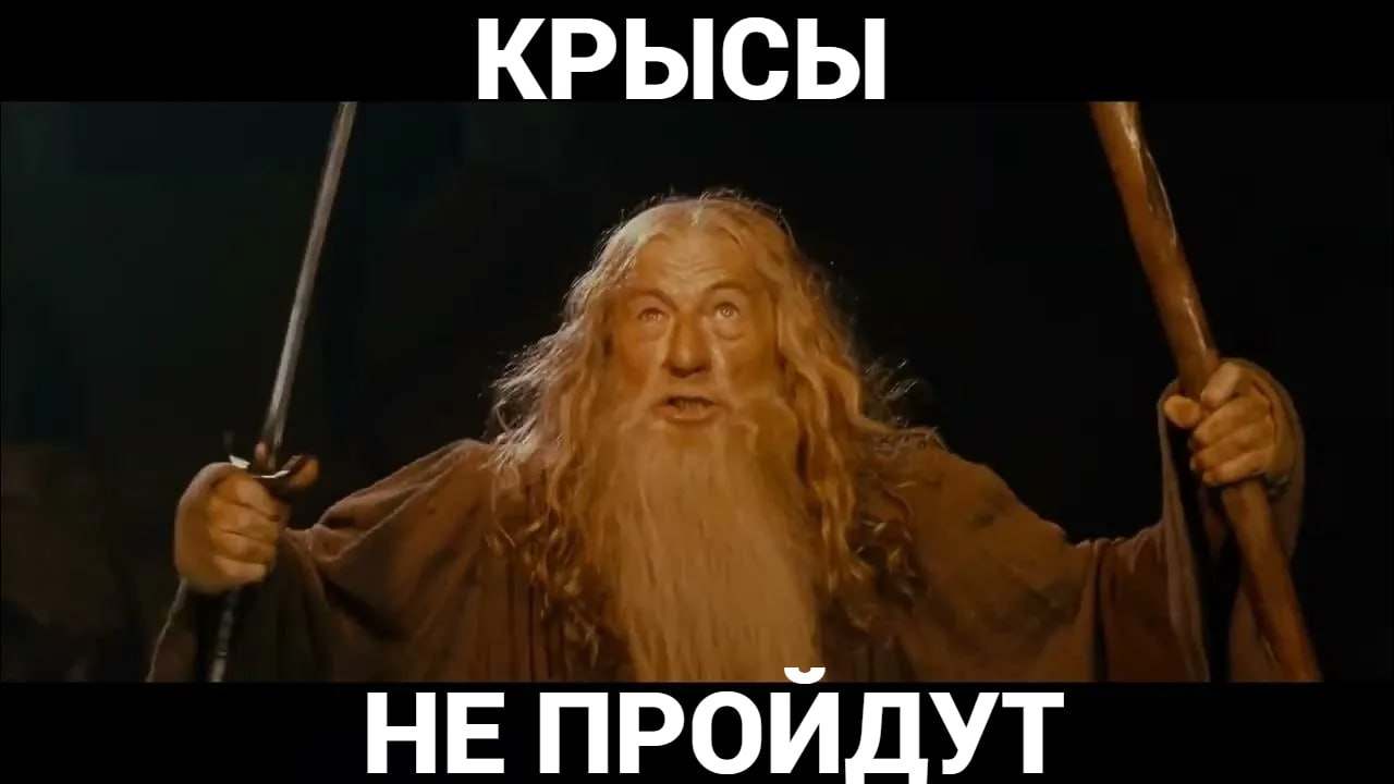 В Архангельске начинается повторная дератизация С 26 октября повторная дератизация начнется в Октябрьском и Ломоносовском округах Она продлится по 5 ноября Затем повторная обработка начнется в Соломбале Майской горке округе Варавино Фактория и в Талажском авиагородке С 11 ноября в Исакогорском Цигломенском Маймаксанском Северном округах и на островах Кего и Хабарка Важное напоминание не оставляйте собак без присмотра выгуливайте их на поводке