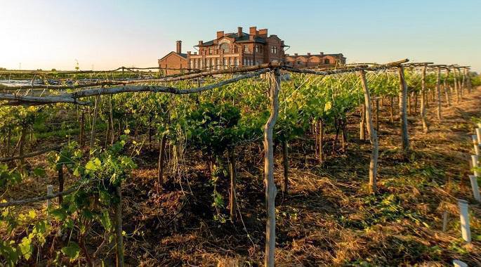 Госдума одобрила законопроект о строительстве гостиниц на виноградниках Госдума в первом чтении приняла законопроект который позволит возводить объекты инфраструктуры для туризма включая гостиницы на виноградниках Об этом сказано в карточке документа в думской базе Согласно пояснительной записке к законопроекту в том случае если винодельня находится на земле сельхозназначения и официально принадлежит виноделу или находится у него в аренде на такой земле можно будет возводить туристическую инфраструктуру В том числе это касается строительства гостиниц Важно что все построенные объекты должны быть объединены в единый комплекс с винодельней Площадь земельного участка должна быть не менее пяти гектаров а плотность виноградных насаждений на нем не менее 2222 виноградных кустов на один гектар Общая площадь застройки под винодельнями и туристическими объектами не должна превышать 0 5 площади расположенных на участке виноградных насаждений и 2 тысяч квадратных метров в целом В строящемся здании для туризма должно быть не более трех надземных этажей а его высота не может превышать 15 метров Новости Отели СтроительствоОтеля ОтелиРоссии Новости Отелей