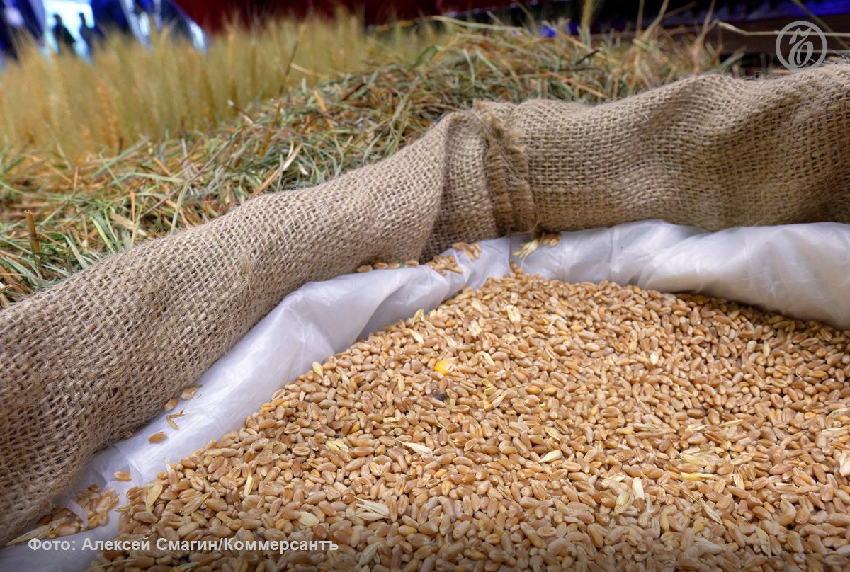 Внутренние цены на основные виды зерна в России начали расти после цикла снижения впервые с конца прошлого года В среднем за неделю они прибавили 0 4 1 9 Это связано с ограниченным предложением качественной пшеницы с высоким содержанием белка растущим спросом со стороны зарубежных покупателей и логистическими ограничениями объясняют эксперты Директор Совэкона Андрей Сизов сомневается что рост внутренних цен на зерно станет долгосрочным Он поясняет что на рынке сохраняется существенный запас предложения а стоимость доллара остается низкой В S P Global ранее обращали внимание на то что на цены на российскую пшеницу давят в том числе высокие ожидания относительно урожая в Аргентине и Австралии Они сдерживают активность потенциальных покупателей на рынке Ъузнал
