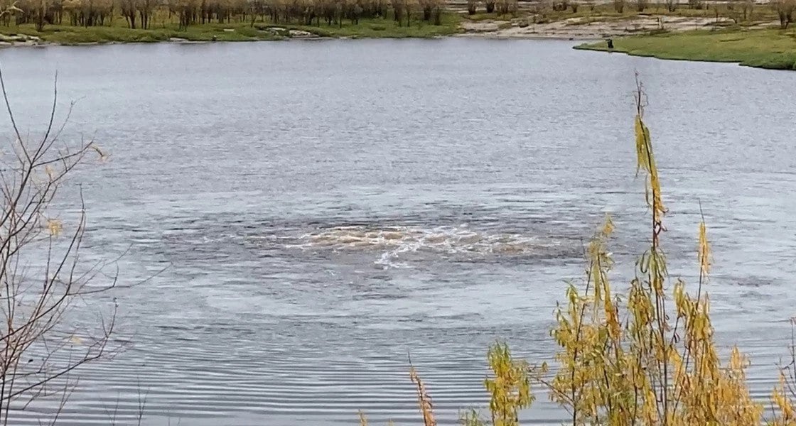 В Нижневартовске в водоеме закипела вода. Коммунальные системы пояснили, что это часть технологического процесса подъема воды.  На этой неделе в водоприемном ковше реки Вах началась очистка от шуги и мусора. Коммунальщики ежегодно проводят эту процедуру в межсезонье, чтобы избежать забивания кассет.   «С помощью воздуха мы продуваем систему, избавляясь от шуги и позволяя воде поступать в насосные скважины», - отметил Александр Панасюк, начальник участка по подъему воды НКС. Очистка будет проходить еженедельно до замерзания реки. Она осуществляется с помощью компрессора.