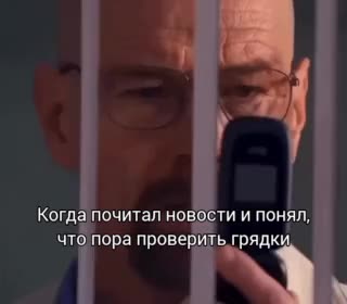 Россиянам угрожает уголовная ответственность за выращивание запрещенных растений и грибов