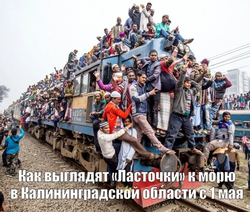 С 1 мая в Калининградской области увеличат число Ласточек к морю Дополнительно назначат 43 рейса На Зеленоградском направлении по рабочим дням будет ходить 34 электропоезда По выходным и праздничным дням до 48 Дополнительно к действующему расписанию ежедневно назначены Ласточки с Южного вокзала в 09 05 11 36 13 37 14 42 15 40 из Зеленоградска в 09 50 13 48 14 32 16 33 18 09 По выходным и праздничным дням дополнительно назначены поезда из Калининграда в 09 38 10 40 12 41 13 13 15 14 16 43 18 14 21 00 в обратном направлении в 10 30 11 47 12 29 14 13 16 14 17 50 19 43 и 21 55 В Светлогорск по будням будет выполняться по 39 рейсов по выходным и праздничным 38 Дополнительные ежедневные поезда с Южного вокзала в 09 00 с Северного вокзала в 10 40 и 15 43 обратно из Светлогорска в 10 36 14 16 и 16 18 По выходным и праздничным дням дополнительные поезда будут отправляться с Северного вокзала в 12 37 и 14 41 с Южного вокзала в 20 23 Из Светлогорска в 11 14 13 16 и 21 43 Кроме того на ежедневный режим курсирования переводятся поезда отправлением с Северного вокзала в 17 17 с Южного вокзала в 19 20 из Светлогорска в 19 33 и 20 36 На Балтийском направлении также назначаются дополнительные рельсобусы Время отправления от Южного вокзала в 09 48 11 30 из Балтийска в 13 10 14 30 и 19 05 Дачные пригородные поезда отправляющиеся с Южного вокзала в 8 10 и 13 05 из Балтийска в 9 51 и 16 20 будут ходить ежедневно