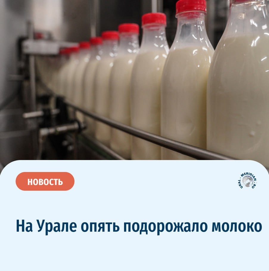 С 24 февраля по 3 марта в Свердловской области заметили, что молочные продукты стали стоить дороже. Например, пастеризованное молоко теперь стоит 91,97 рубля за литр, хотя раньше было 90,23 рубля. Ультрапастеризованное молоко тоже подорожало — на 0,67%, и цена теперь составляет 121,26 рубля за литр.  Стали дороже и сухие детские смеси теперь — теперь они в среднем обойдутся в 1267,79 рубля, что на 0,41% больше. В то же время, наоборот, подешевели некоторые продукты: сыр стал стоить 939,02 рубля за кг, творог — 496,86 рубля, а сливочное масло — 1203,32 рубля за кг. Сметана тоже пошла вниз в цене на 0,43%, и теперь в среднем стоит 344,39 рубля.   «Уральский меридиан»