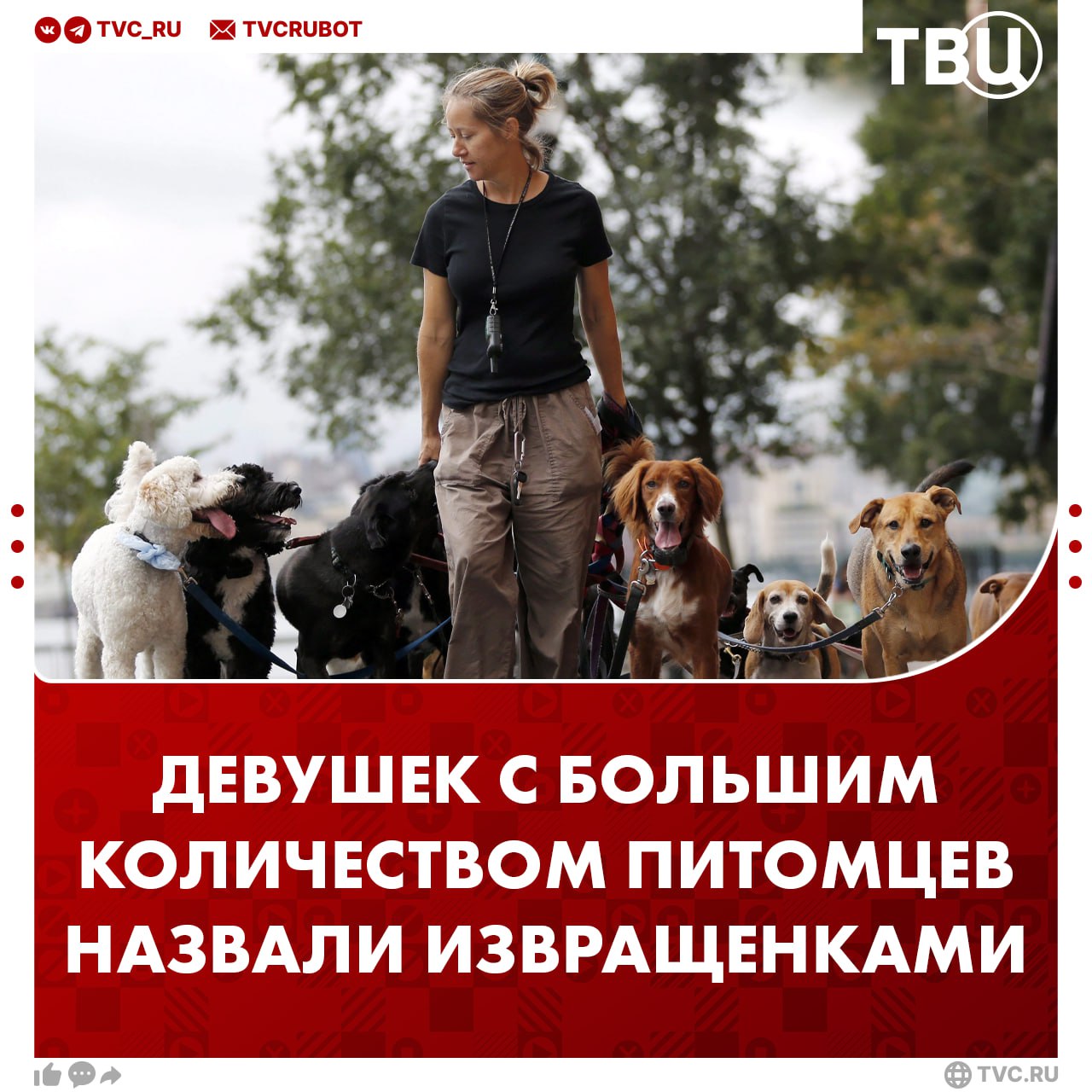 Извращенками назвали россиянок с большим количеством питомцев Кошки и собаки стали заменять женщинам семью мужа и детей считает член Общественной палаты Павел Пожигайло Он предложил чтобы количество животных в доме не превышало число детей Это извращение Если женщина живет с пятью шестью собаками и не имеет ни мужа ни детей то это продолжение идеологии чайлдфри или квадроберов отметил Пожигайло Подписаться на ТВЦ в MAX пропаганда чайлдфри запрещена на территории РФ