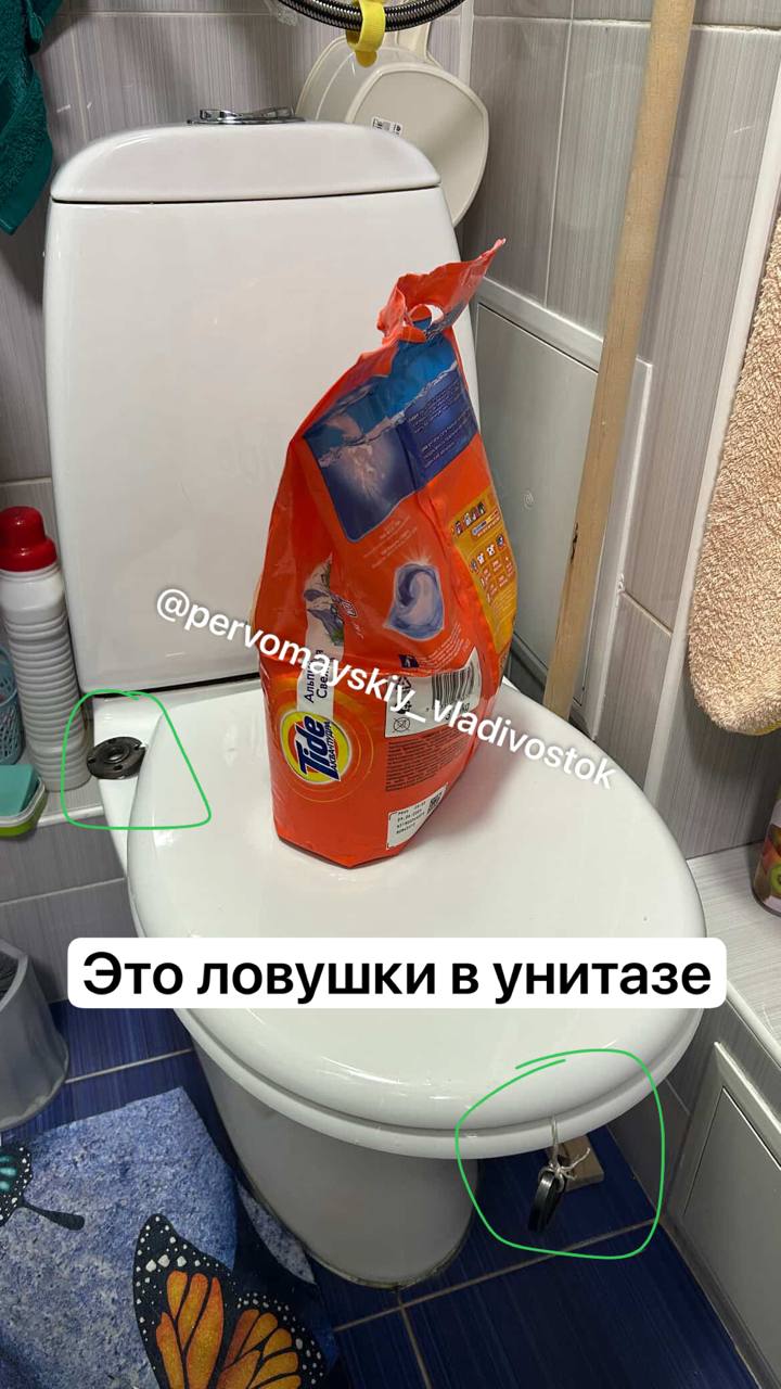 Кошмар в доме владивостокчанка рассказала как крыса вылезла из унитаза Жительница пережила настоящий ужас в собственной квартире на Чуркине По её словам в туалете из унитаза дважды вылезала крыса В пятницу ходила в УК сантехники смеются диспетчер говорит ну что мы их потравили неделю назад вот они и лезут на свет заявление приняли сроки рассмотрения озвучили 30 рабочих дней В субботу позвонила в аварийную кричу уже что мне делать в ответ получаю залейте белизну и не пользуйтесь санузлом Это не первый случай в доме рассказывает местная жительница Ситуация осложняется тем что проведённая неделю назад дератизация привела к обратному эффекту грызуны стали более активными и агрессивными в поисках спасения pervomayskiy vladivostok   Подпишись на kpdvru