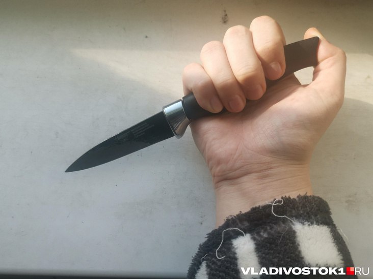 27 летняя мать чуть не заколола ножом собственного ребёнка в Артеме Спасти малыша смогли случайные гости и врачи скорой ребёнок жив Следственный комитет возбудил уголовное дело по статье о покушении на убийство малолетнего Подозреваемая задержана решается вопрос о заключении под стражу Что именно побудило женщину на столь чудовищный поступок никто не знает Подробнее о страшных событиях на улице Харьковской в Артеме читайте в материале Подписаться