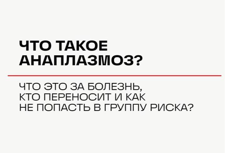 В Подмосковье выявлен анаплазмоз — опасная клещевая инфекция, ранее распространённая на юге России  Заражение возможно через укус клеща, слепня или комара, осложнения — при отсутствии лечения.    В карточках — вся важная информация