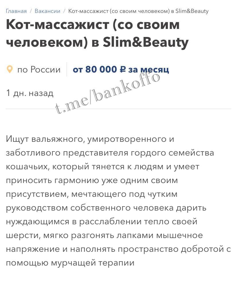 Кота-массажиста с зарплатой от 80 тысяч рублей ищут в московском салоне красоты. Он должен лапками массировать клиентов, мурчать для расслабления и создавать уют. Вакансия предполагает соцпакет, прививки, отпуск, больничный, вкусняшки и личную лежанку.