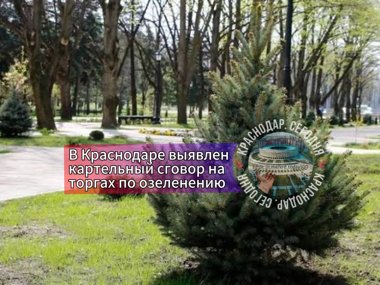 В Краснодаре выявлен картельный сговор на торгах по озеленению В Краснодаре вскрыли картельный сговор на открытом конкурсе по благоустройству зеленых зон и общественных пространств Заказчиком выступало МКУ Центр озеленения и экологии Компании Зеленый Город и Кубаньэнергостройремонт координировали свои действия чтобы не допустить снижения цены на торгах Вместо реальной конкуренции участники имитировали ее отказываясь от конкурентной борьбы В случае подтверждения нарушения компании могут быть привлечены к административной ответственности в виде оборотных штрафов передает РБК Есть интересная новость Присылайте нам Краснодар Сегодня канал в MAX ПРИСЛАТЬ НОВОСТЬ
