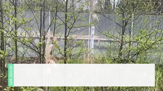 Труп беженца найден на границе Латвии