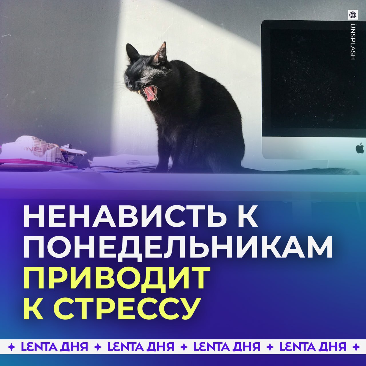 Ненависть к понедельникам приводит к стрессу и проблемам с сердцем. Учёные провели исследование и выяснили: у тех, кто беспокоится перед началом новой недели, уровень кортизола выше на 23%. А это, в свою очередь, увеличивает риск сердечных приступов и других болезней сердца. Как относитесь к понедельникам? — терпеть не могу — не обращаю внимание на день недели