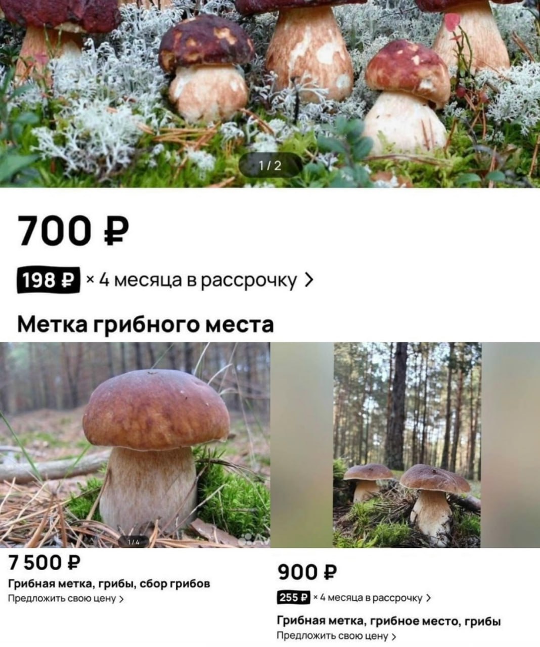 Грибные локации стали продавать на Авито Цена от 700 7500 за эти деньги продавцы поделятся координатами самых грибных мест Легендарная Москва