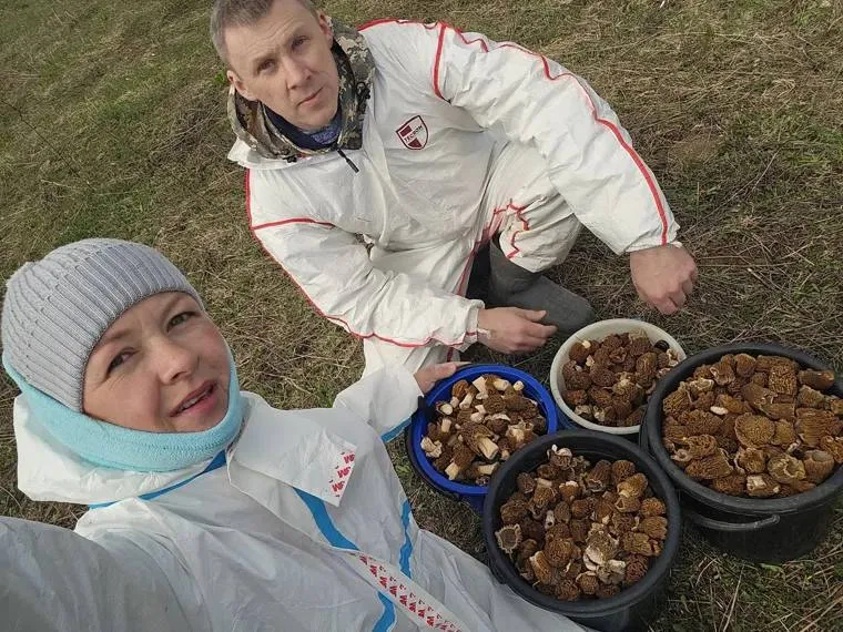 Грибной джекпот пермячка за одно утро собрала больше 30 литров сморчков Жительница Пермского края Яна Зернина похвасталась впечатляющим весенним урожаем За одно утро в Кишертском районе ей удалось собрать 32 литра сморчков Фотографиями и впечатлениями девушка поделилась в соцсетях За утро собрали 32 литра сморчков Собирали 10 мая в Кишертском районе Видели в лесу лося или оленя но он очень быстро сбежал от нас поделилась Яна Читайте нас в МАКС мы есть и там