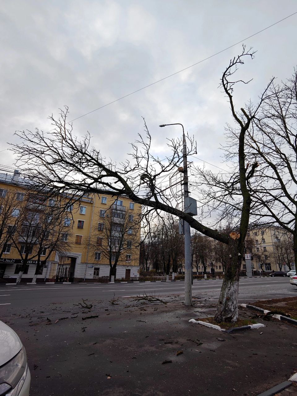 В Туле из-за сильного ветра с крыш домов слетают металлические конструкции. На проспекте Ленина на линию электропередач и на троллейбусную линию упало дерево, повреждены провода.   ‍