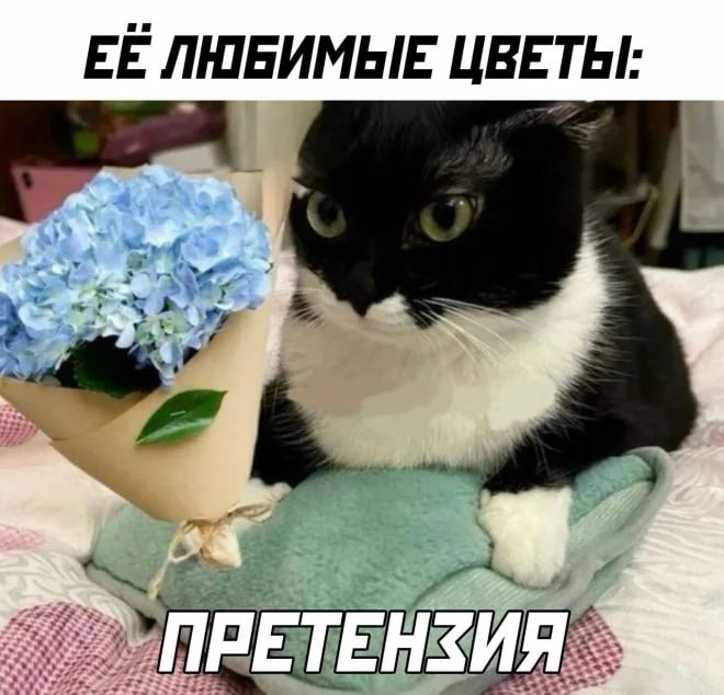 Будьте бдительны! Появился новый способ мошенничества: жительница Менделеевска отдала 12 миллионов рублей и квартиру за доставку цветов. Женщине поступил звонок от якобы службы доставки. Под этим предлогом мошенники выманили у нее код подтверждения из СМС. Далее злоумышленники сообщили, что ее аккаунт на «Госуслугах» взломан, и передали разговор «сотруднику ФСБ». Под давлением местную жительницу заставили снять семь миллионов рублей, взять кредит почти на два миллиона, а также продать квартиру. В результате, женщина лишилась 12 миллионов рублей и жилья. Возбуждено уголовное дело. Абау