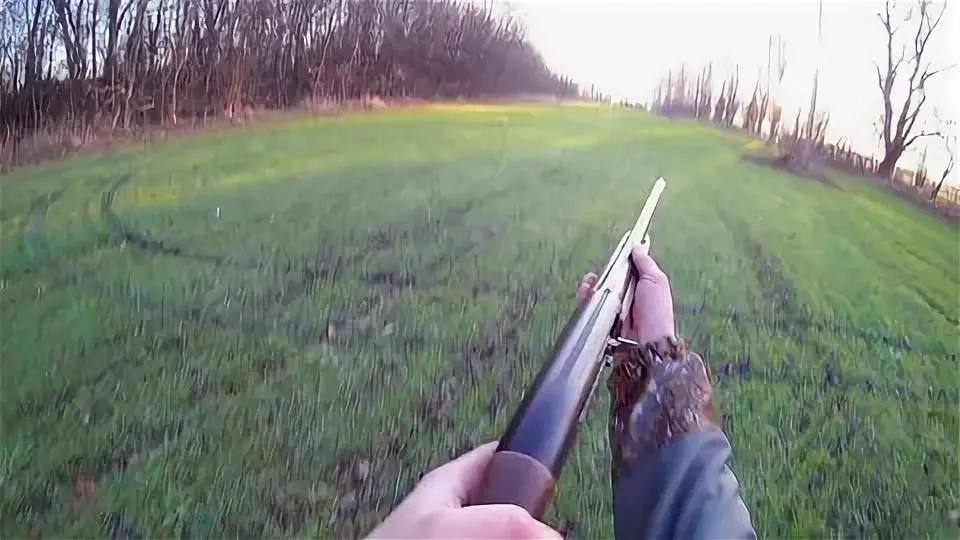В Красноярском крае стартовал сезон охоты на добычу волка, кабана и медведя  Также охотиться с подружейными собаками  группа пород охотничьих собак  разрешено на болотно-луговую дичь  бекас, дупель, кроншнеп и другие виды .  С 5 августа начнётся охота на боровую, полевую и степную дичь с подружейными собаками и ловчими птицами. С 16 августа охотиться разрешат на белую и тундряную куропатку, а 30 августа – на уток, глухаря, тетерева и вальдшнепа. Кроме того, в министерстве начинается приём заявлений на добычу лимитированных пушных животных: барсука, соболя и рыси. Сроки охоты: с 15 августа и 20 октября соответственно.   ‍  Отправить сообщение   Наш чат