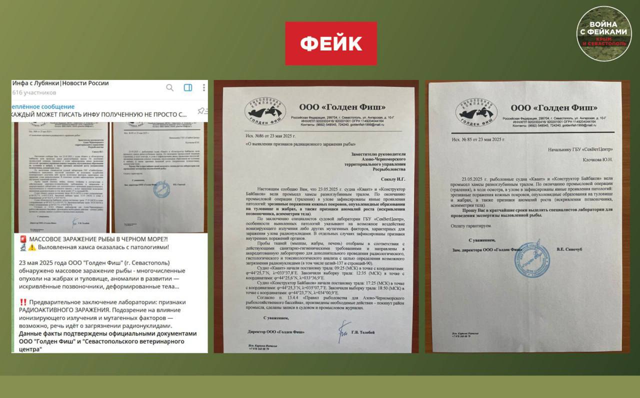 Фейк: В Черном море у рыбы обнаружили радиационное заражение. Об этом со ссылкой на местное рыболовецкое предприятие пишут севастопольские паблики в соцсетях.   Правда: Тиражируемая информация – это фейк, на что указывает сразу несколько неточностей. Во-первых, 23 мая рыболовецкие суда, как утверждается во вбросе, никуда не выходили, а значит, вылова не было. Это связано с тем, что вылов хамсы завершился еще 15 апреля.   Во-вторых, губернатор Севастополя Михаил Развожаев в своем телеграм-канале обратил внимание на то, что у предприятия ООО «Голден Фиш» из документа, которым иллюстрируется фейк, сейчас нет судна под именем «Квант». Компания владела им несколько лет назад.   Лаборатории ГБУ «Севветцентр» не существует, на что тоже указывает губернатор. Ну и завершающим штрихом является тот факт, что подпись директора рыболовецкого предприятия Григория Телебея на вброшенном документе – это явная подделка ЦИПсО. На оригинальных документах руководителя виден совсем другой росчерк.   Подпишись на «Войну с фейками. Крым и Севастополь», чтобы не дать себя обмануть!