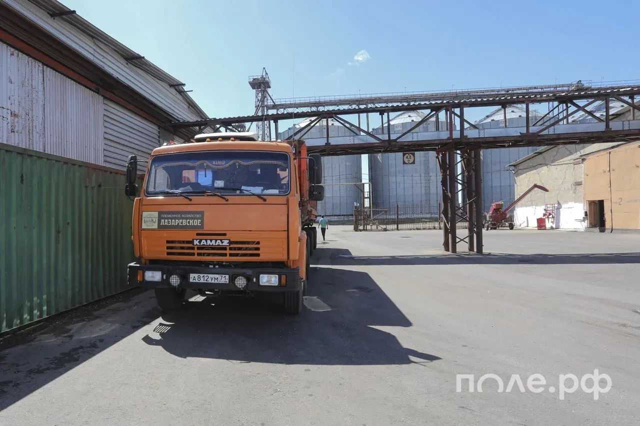 Реализация зерна в хозяйствах России снизилась на 11 5 в 2025 году до 93 6 млн тонн Наибольшие объемы реализации пришлись на Центральный федеральный округ 25 2 млн тонн 13 8 а наиболее заметное снижение показателя Росстат зафиксировал в Южном федеральном округе 20 8 млн тонн 32 7 Продажи по культурам Пшеница 65 млн тонн 11 9 Ячмень 11 1 млн тонн 12 8 Кукуруза 9 9 млн тонн 12 5 Рожь 698 тыс тонн 21 7 Рис 607 6 тыс тонн 30 1 Гречиха 771 8 тыс тонн 11 3 При этом продажи семян и плодов масличных культур увеличились на 5 7 до 26 4 млн тонн в том числе Подсолнечник 14 6 млн тонн 1 5 Соя 6 млн тонн 23 4 Подробнее Подписывайтесь на нас в MAX