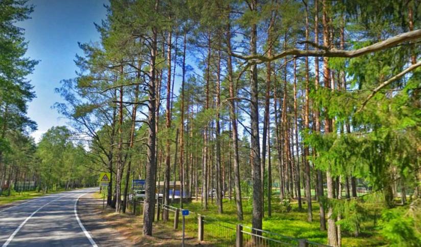 В Петербурге намечена реконструкция базы отдыха Маяк расположенной между Средневыборгским шоссе и Черной речкой в границах Гладышевского заказника