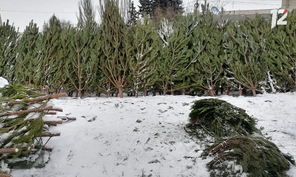 В Октябрьском округе Омска определили места для ёлочных базаров Новогодние деревья с 1 по 31 декабря будут продавать по следующим адресам проспект Космический 17б 18д 26а 52 Кирова 10 16 3 20 49 1 75 й Гвардейской Бригады 1г 18 Масленникова 179 Рощинская 1 Также мэр Омска напомнил что специалисты будут проводить рейды с целью пресечения нелегальной торговли ёлками   Подписывайтесь на 12 канал в МАХ