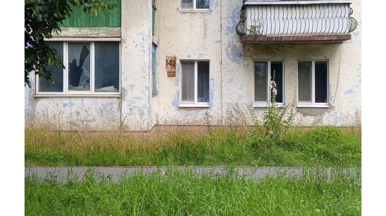 Жители бежицких многоэтажек пожаловались на заросшие травой дворовы Управляющим компаниям поручено до конца этой недели скосить бушующую растительность.. ƃℾ подписаться прислать новость