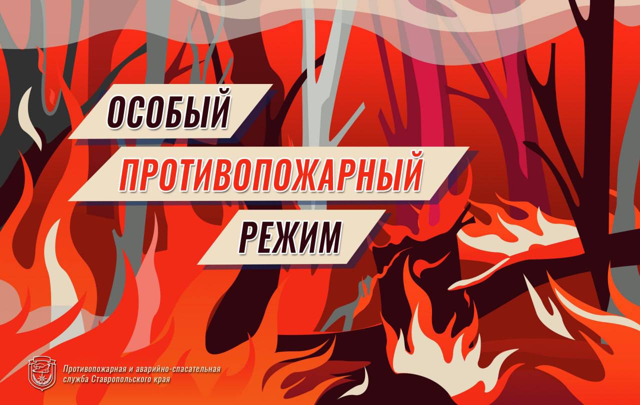 На Ставрополье сегодня введён особый противопожарный режим.  Он будет действовать по 30 сентября, сообщили в ПАСС СК.  В крае установлены дополнительные требования пожарной безопасности, в частности в населённых пунктах, садах, на огородах, предприятиях запрещено:  разводить костры;   проводить пожароопасные работы на полях и в лесах, в том числе сельскохозяйственные палы;  сжигать стерню, пожнивные остатки;  сжигать мусор.