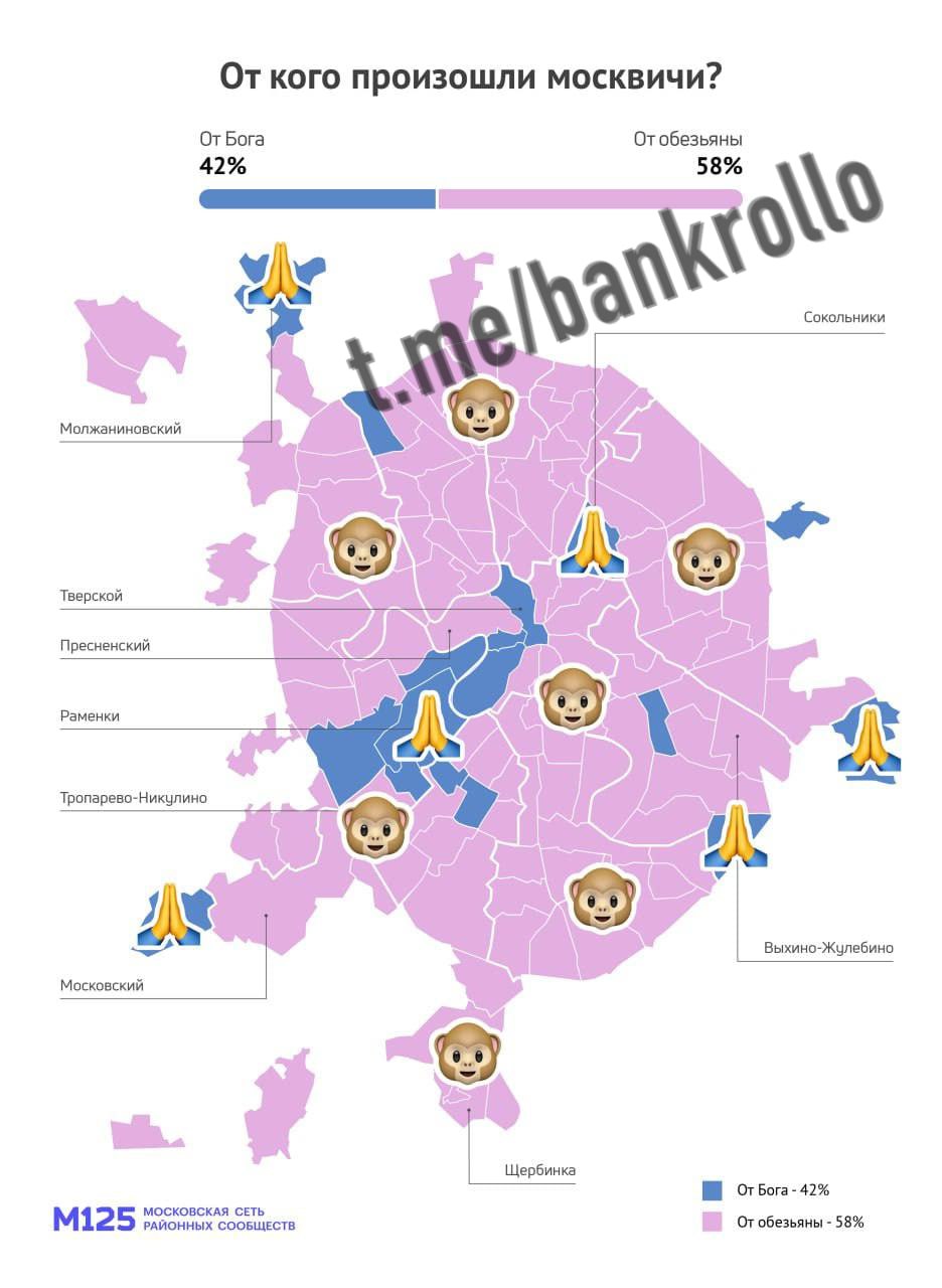 Каждый второй москвич считает себя потомком обезьяны, показал опрос. В божественную версию происхождения верят в основном жители Хамовников, Капотни, Сокольников и Тверского района.