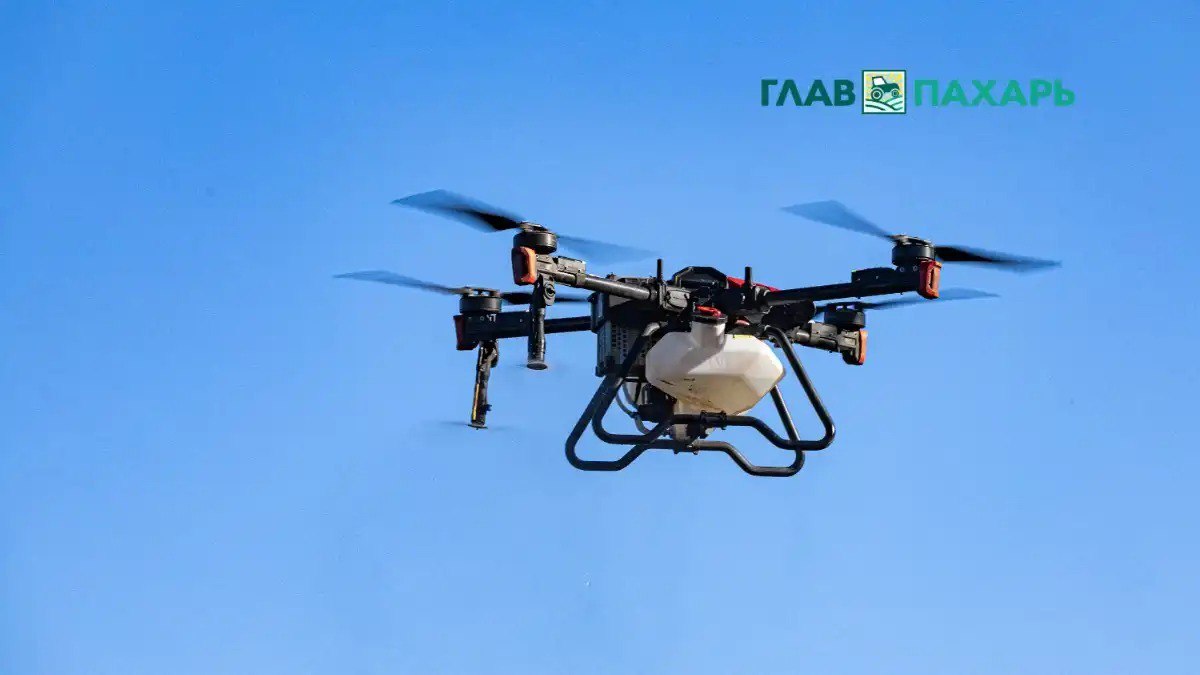 Закупки агродронов на Кубани и в Башкортостане выросли почти в два раза С чем связан такой спрос читайте