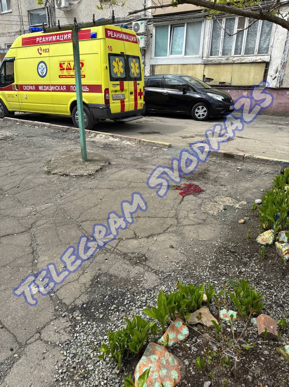 Во Владивостоке на улице Связи, 22, молодой парень упал с крыши девятиэтажки. Подробности уточняются. Прислать новость Чат