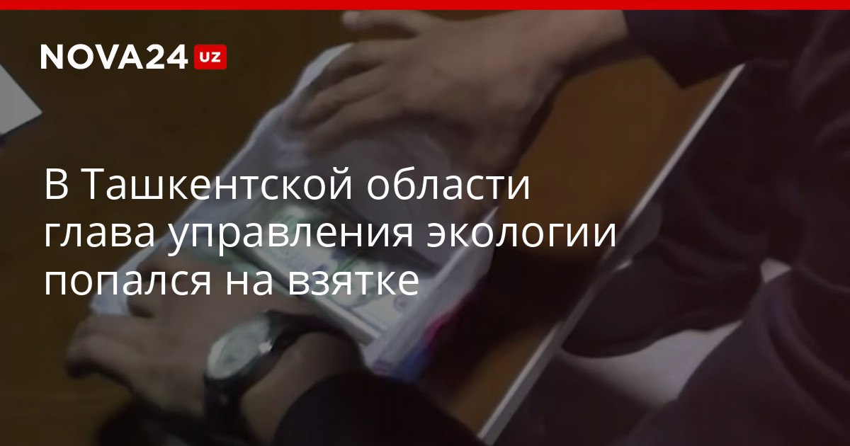 В Ташкентской области глава управления экологии попался на взятке Он обещал выдать разрешение на вырубку деревьев nova24 uz 320433 YouTube Instagram Telegram