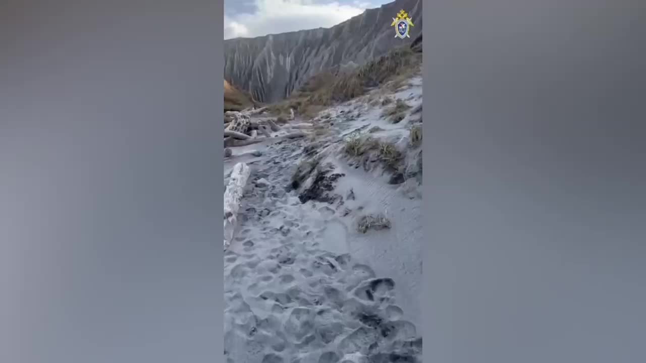 Судебные приставы помогают вдове участника СВО, в то время как курянин предстанет перед судом за незаконную вырубку деревьев