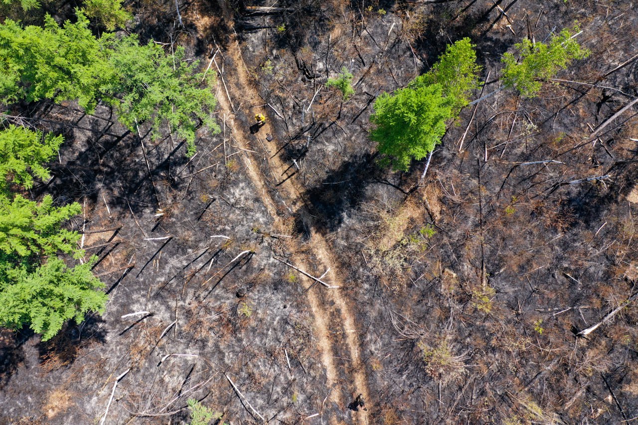 Председатель правительства РФ Михаил Мишустин сообщил что на улучшение состояния лесов в России будет выделено 70 млрд рублей до 2030 года В среду 3 декабря Мишустин провел встречу с руководителем Федерального агентства лесного хозяйства Рослесхоза Иваном Советниковым на которой обсуждалась работа агентства реализация федерального проекта Сохранение лесов а также профилактика и тушение лесных пожаров в весенне летний период Фото Алексей Зарецкий ТАСС interfaxonline