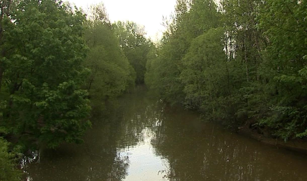 Первый водный экомаршрут в Петербурге и Ленобласти планируют открыть в следующем году  Река Охта протекает и через Ленинградскую область, и через Северную столицу России.