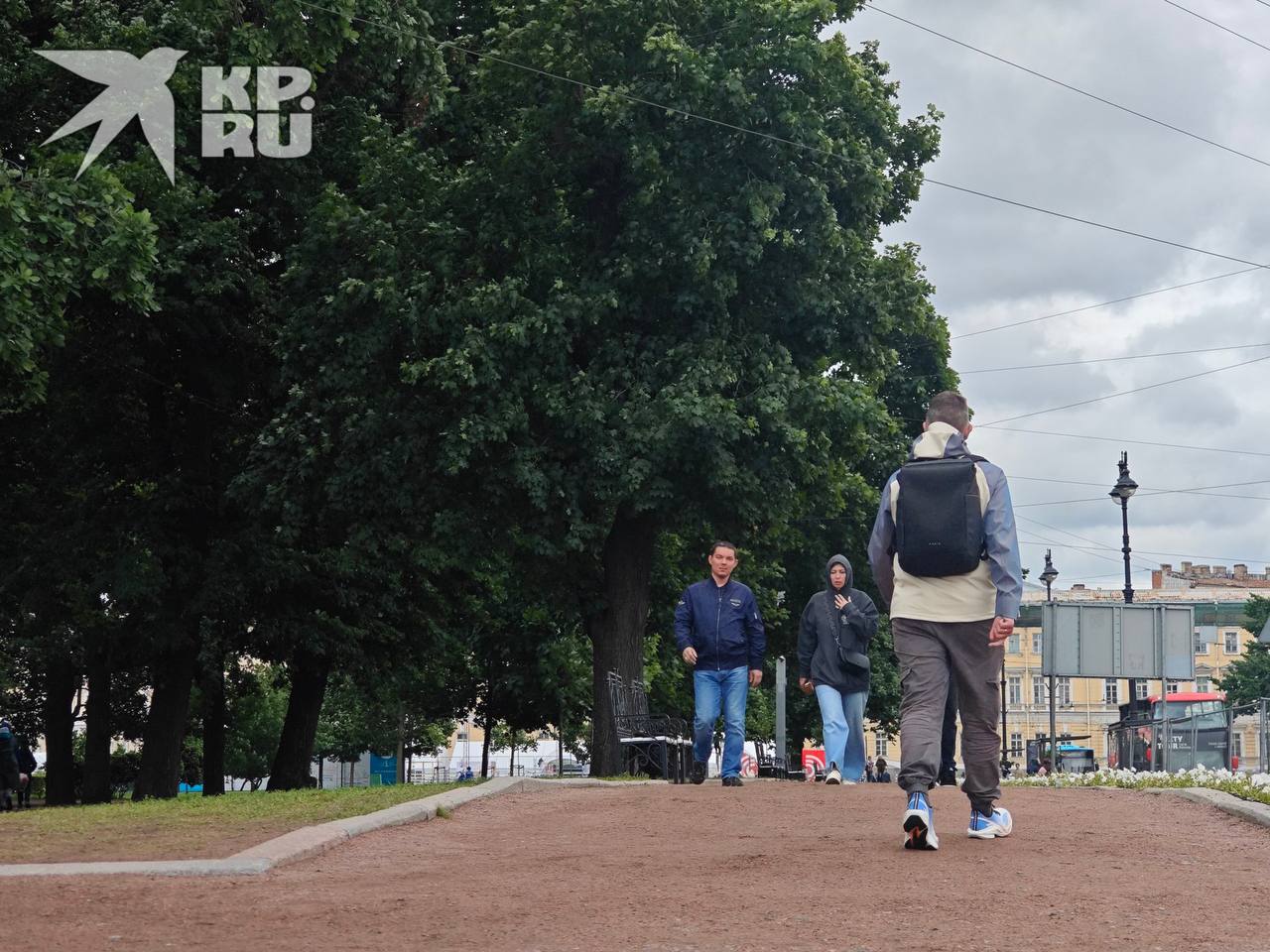 Из-за шторма в Петербурге закрыли зоопарк, Летний и Михайловский сады Сады закрыты и будут сегодня работать с ограничениями. Мы будем информировать вас об изменениях в работе садов Русского музея, — предупредили в учреждении. Ленинградский зоопарк закрылся для безопасности зверей и посетителей. От прогулок сегодня лучше воздержаться. : Алексей Булатов : СПб — отдай свой буст нам
