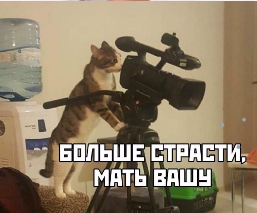 Хоум видео В Госдуме предложили ввести обязательную видеосъемку сделок с жильем Увеличение случаев мошенничества при сделках с недвижимостью требует на мой взгляд серьезных изменений в законодательстве заявила депутат Светлана Разворотнева По ее словам уже подготовлено большое количество инициатив законодательного и иного характера которые проходят активное обсуждение Среди этих инициатив предложение такой меры как обязательная видеофиксация всех сделок с недвижимостью включая очные а также создание централизованного реестра видеозаписей при Росреестре или Минюсте