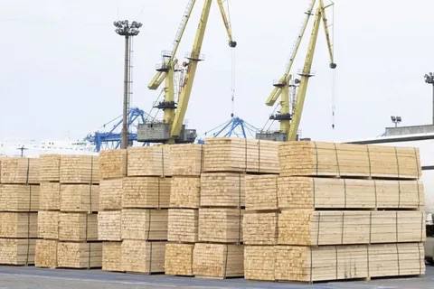 Для поддержки леспрома России расширят номенклатуру экспортируемых товаров Правительство планирует расширить номенклатуру экспортируемых товаров лесной промышленности Также рассмотрят развитие инфраструктуры и увеличение числа пунктов пропуска на границе чтобы упростить экспорт и повысить конкурентоспособность отрасли