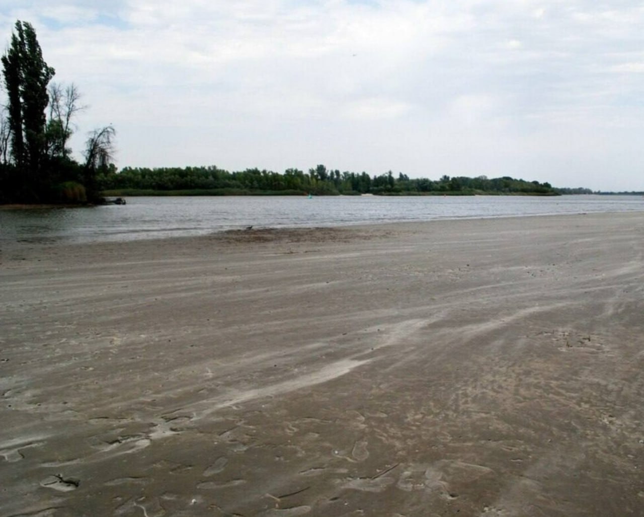 Ростовская область рискует остаться без питьевой воды Из за маловодья рек Ростовская область может полностью остаться без питьевой воды О риске рассказала на круглом столе в заксобрании заместитель министра природных ресурсов и экологии Ростовской области Наталья Ковтун По её словам постепенное обмеление рек идёт с 2007 года в 2025 м ситуация стала особенно острой на фоне отсутствия весеннего половодья Крупные города населенные пункты физически могут остаться без питьевой воды приводят её слова Ведомости Юг Я не говорю о красоте природы речь об экологическом благополучии о территориальном развитии Она добавила что в крупных городах ситуация более сложная из за потерь в ливневой канализации и плотной застройки Власти признали то нужно восстанавливать баланс но конкретных мер пока нет Подписаться на Новости Ростова Прислать новость