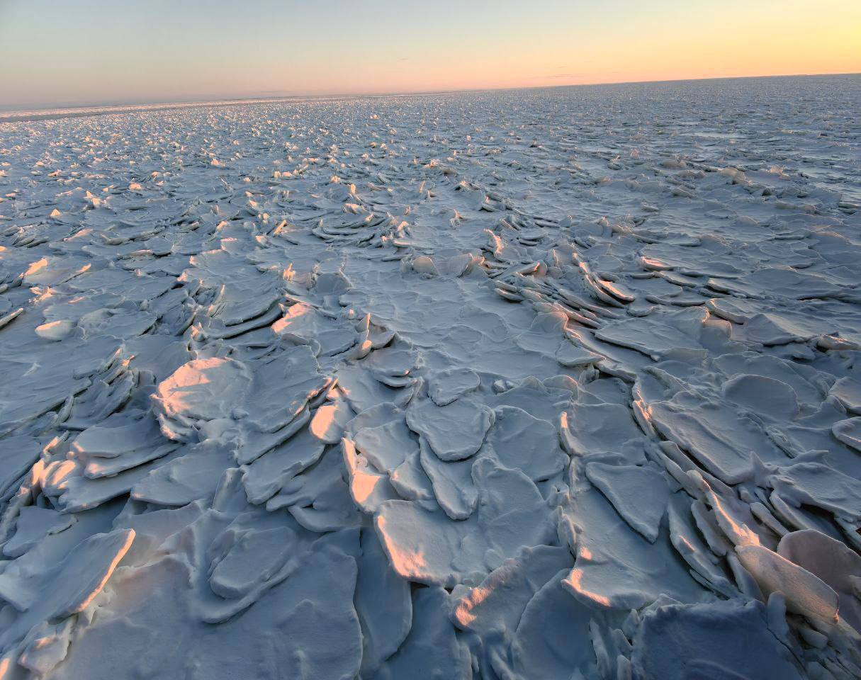 На севере Красноярского края сняли лёд напоминающий чешую дракона Фото Илья Салин prmira news