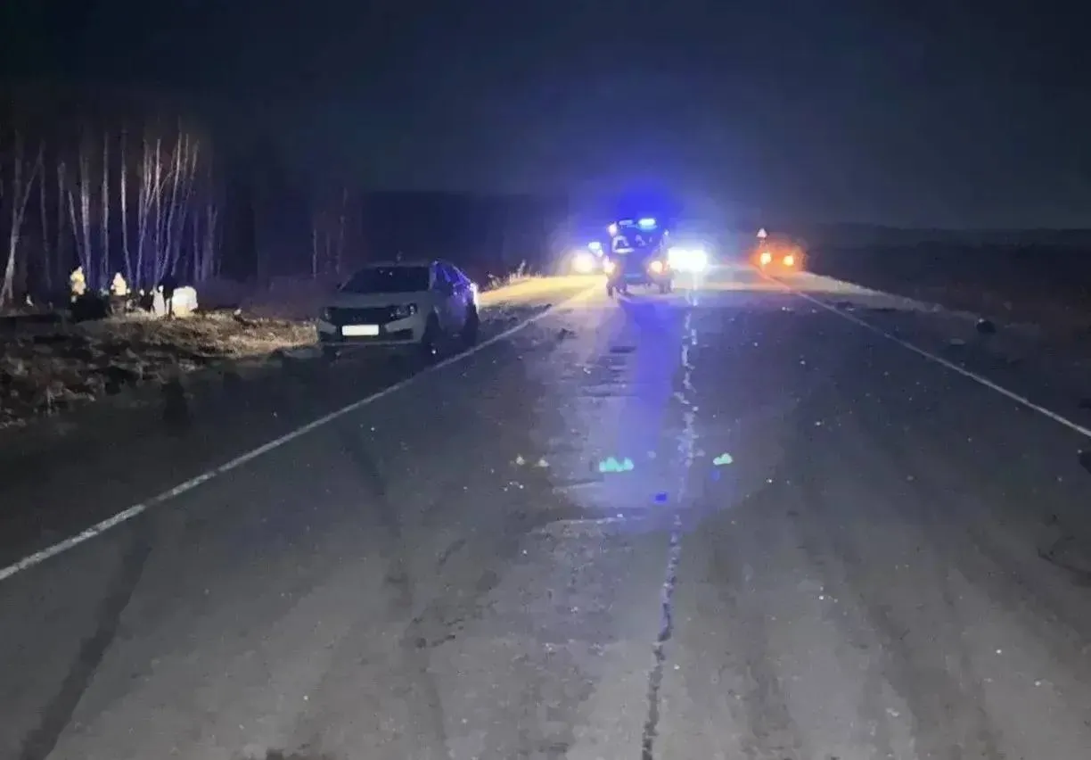 Три человека погибли после наезда на лошадь в Шарыповском округе Все произошло вчера вечером Предварительно 19 летний водитель ВАЗ 21124 на дороге Шарыпово Ужур Балахта врезался в лошадь которая стояла на правой полосе От удара авто вылетело в кювет и перевернулось В итоге водитель и два 17 летних подростка скончались до приезда скорой Животное тоже не выжило Сейчас инспекторы ДПС выясняют подробности случившегося Проспект Мира в Telegram и Максе
