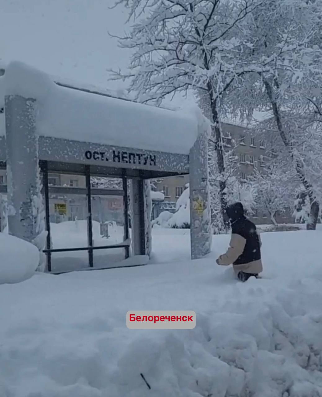 Полностью разделяю ваши возмущения это абсолютно справедливо Более 120 аварийных бригад ведут восстановительные работы в Краснодарском крае По словам главы региона Вениамина Кондратьева без света остаются около 43 тыс человек Наиболее сложная ситуация сложилась в Белореченском Апшеронском Курганинском Лабинском и Усть Лабинском районах а также в Армавире и Сочи Практически во всём крае восстановили подачу тепла за исключением Белореченского района делаем всё возможное чтобы как можно скорее обеспечить жителей теплом добавил kondratyevvi   Быть в курсе Мы в MAX