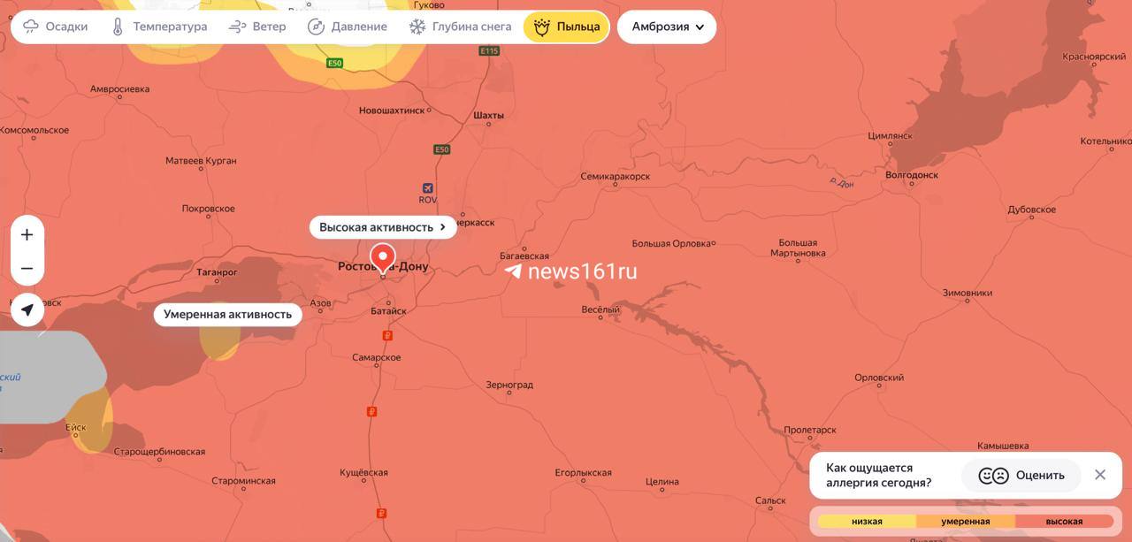 Амброзия уже давно цветет в Ростове. Но мы решили посмотреть, в каких количествах. И видим, что почти вся область в цветениях.  Недавно глава города Александр Скрябин рассказал, что в городе борются с амброзией, но какие-то «два района отстают».  А у вас есть аллергия на амброзию?   — да   — нет, все хорошо   Фото: Яндекс.Погода       Напиши нам