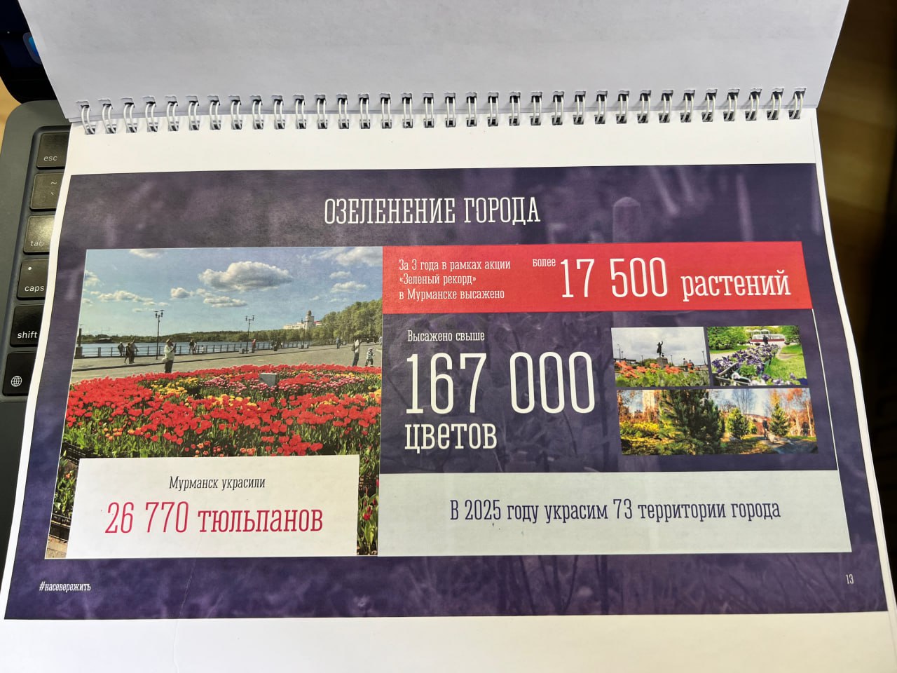 Юрий Сердечкин: В этом году Мурманск украсили 26770 тюльпанов. За три города в рамках акции «Зелёный рекорд» было высажено более 17,5 тыс. растений. #ДембельМэра на «Арктическом Обозревателе»