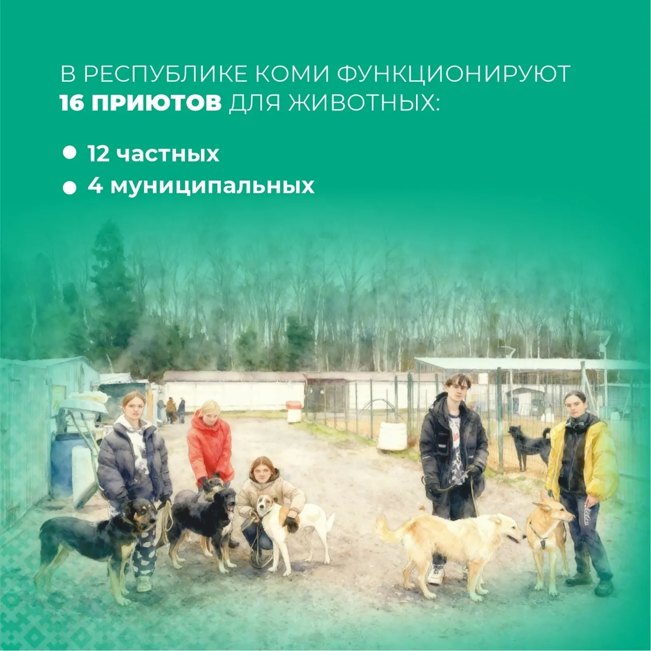 Депутаты Ухты взялись за проблему нападений собак на людей в Коми Как говорится не прошло и 5 лет   Депутаты предлагают изменить республиканский закон о правилах обращения с бездомными животными Среди главных пунктов вводятся новые понятия пункты временного содержания животных и режим Особой опасности когда собаки становятся очень агрессивными и стаями нападают на людей в самых крайних случаях собак будут усыплять но самым гуманным способом а принимать такое решение будет комиссия из врачей и специалистов Мы же обратили внимание на количество муниципальных приютов в регионе 4 штуки на всю территорию Коми которая поболее Германии будет После этого комментировать уже нечего Фото