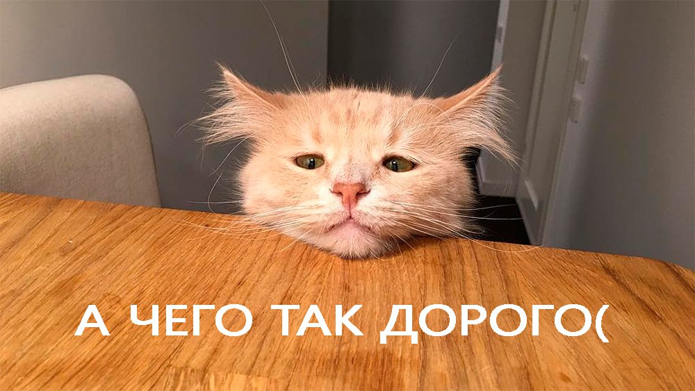 За год цены на бензин в Алтайском крае выросли на 11,4 %. Как сообщает Алтайкрайстат, больше всего в регионе подорожал АИ-98, он стал дороже на 20%. Самые высокие цены зафиксированы в Бийске и Белокурихе. Подписаться Прислать новость