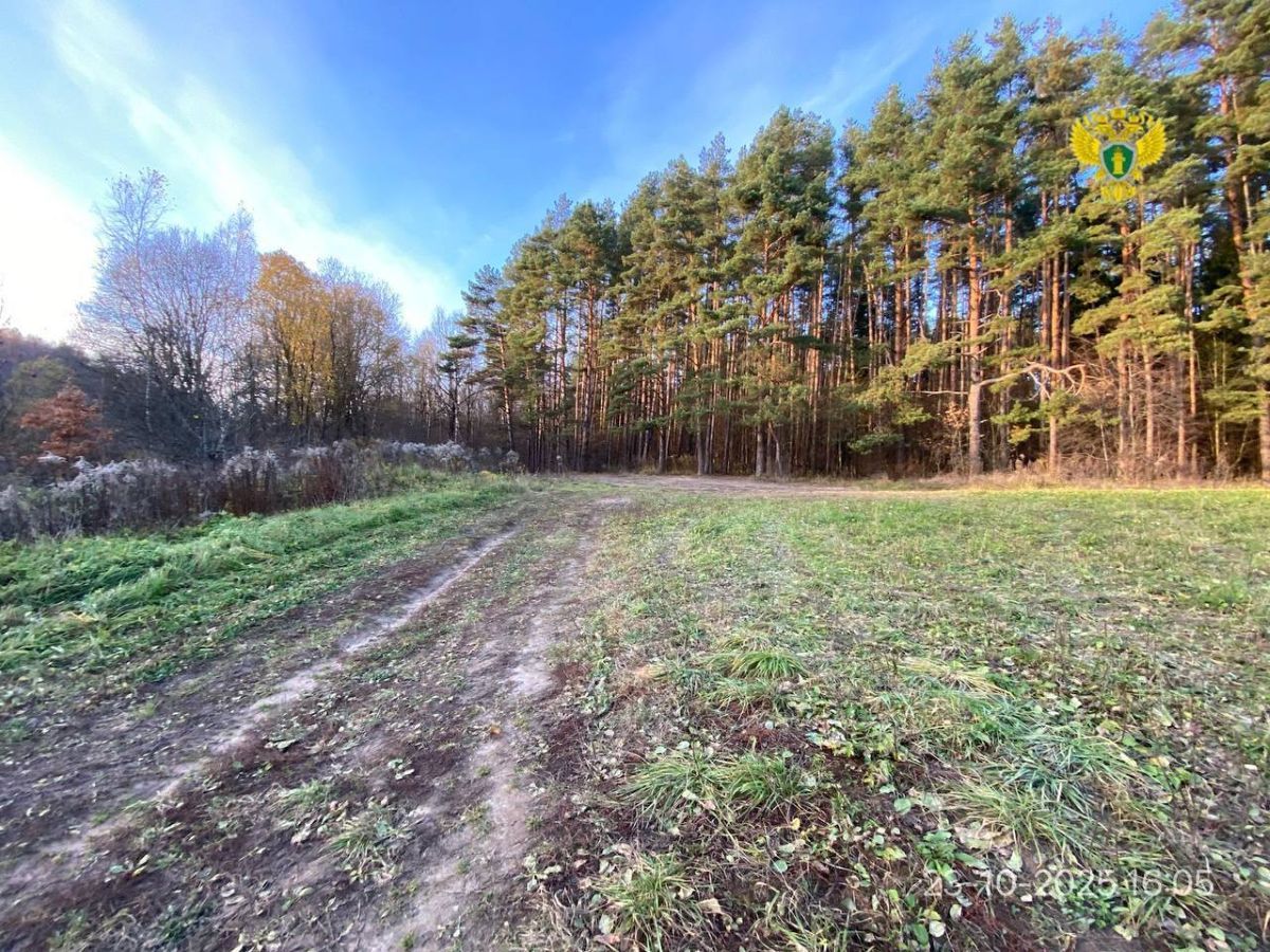 Прокуратура через суд заставила Минприроды убрать свалку под Калугой kaluganews ru fn 1750185 html Под Калугой на земле Пригородного лесничества обнаружили незаконную свалку с пластиковыми бутылками пакетами досками битым кирпичом и так далее Прислать новость Подписаться